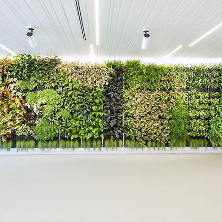 酒店 卡塞尔若酒店